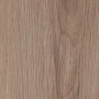 dąb