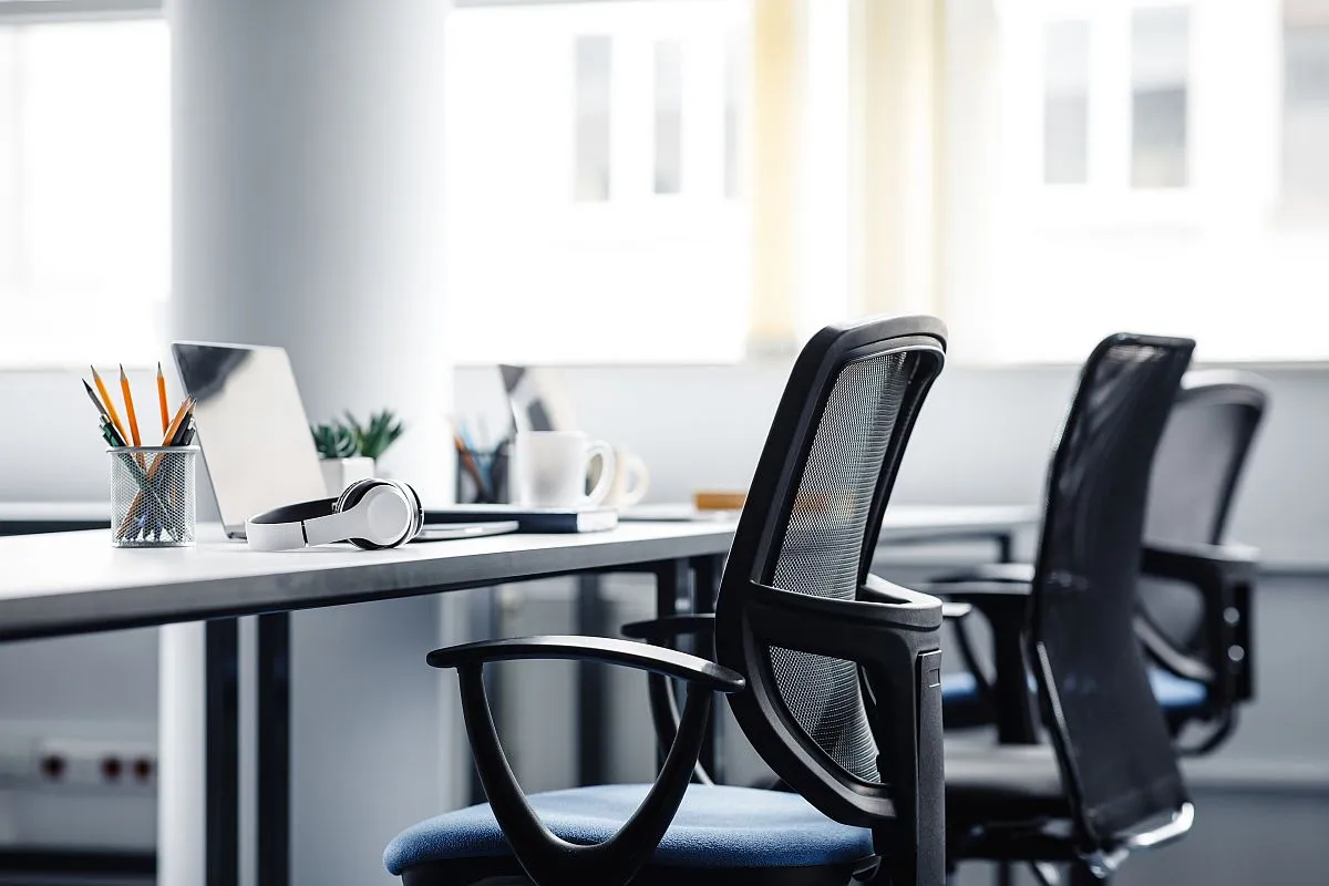 Oparcie foteli ergonomicznych