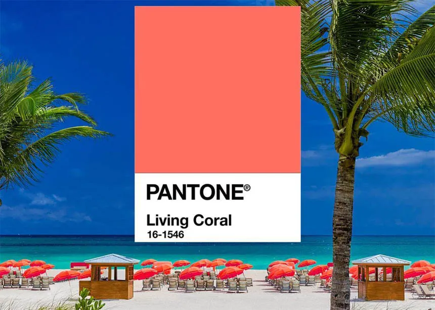 Pantone wybrała kolor 2019 roku