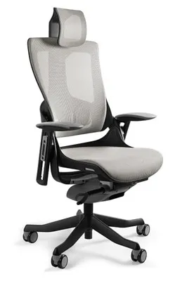 Ergonomicznu fotel Unique