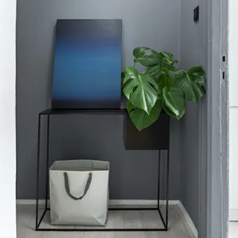 Dlaczego rośliny są ważne