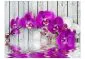 Fototapeta - Violet orchids with water reflexion-2