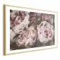 Plakat Różowe piwonie 60x40 cm z ramą złotą z marginesem | MIRAT.