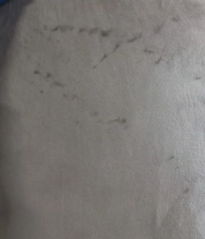 Krzesło CLAUDINE 2 VELVET beżowe/dąb - powystawowe I sklep meblowy MIRAT.