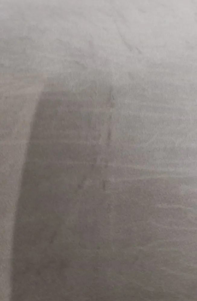 Krzesło CLAUDINE 2 VELVET beżowe/dąb - powystawowe I sklep meblowy MIRAT.