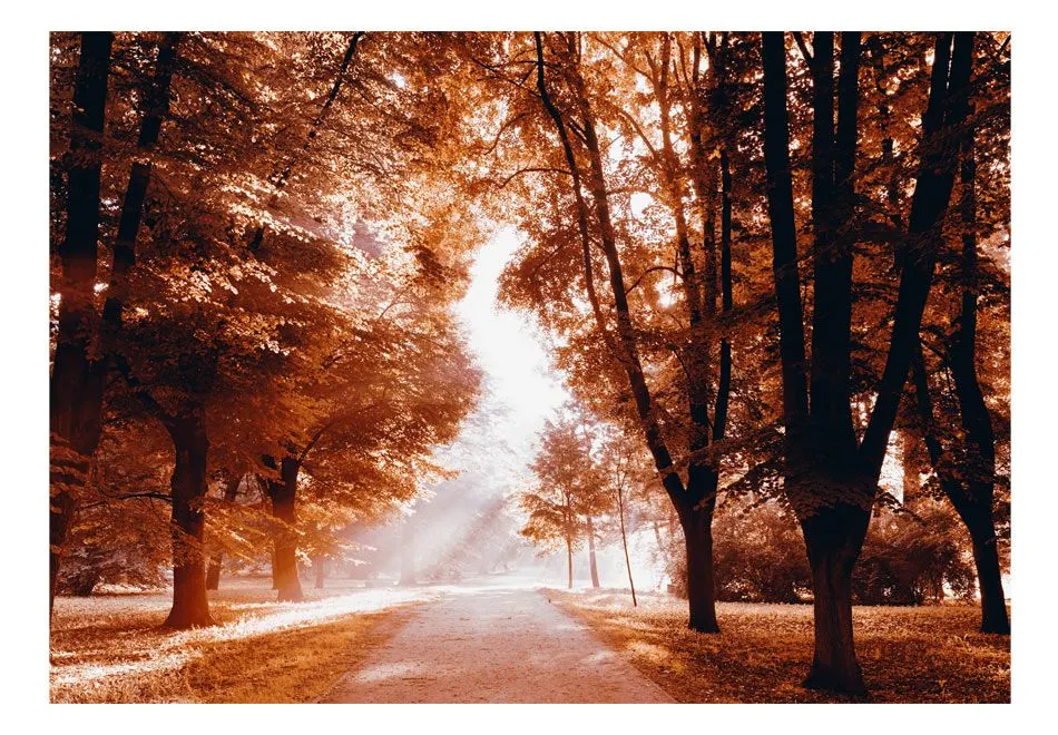 Fototapeta - Jesienny park-2