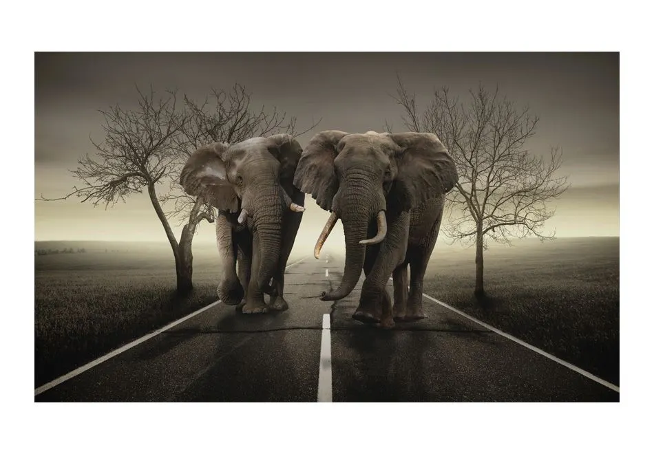 Fototapeta - Miasto słoni-2