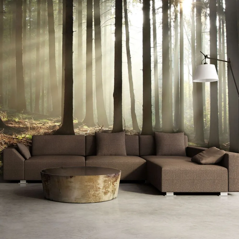 Fototapeta - Las iglasty - poranna mgła-1