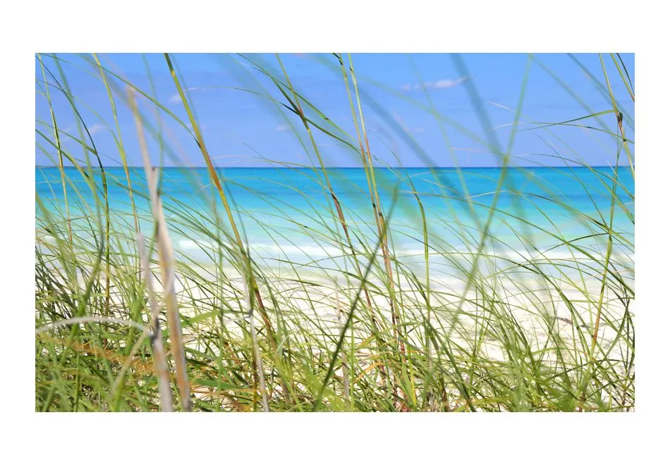 Fototapeta - Tropical journey-2