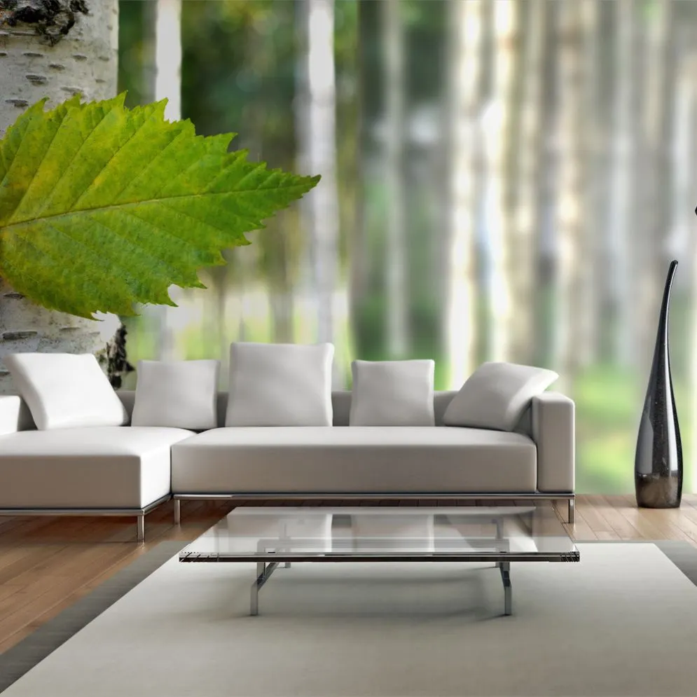 Fototapeta XXL - Liść brzozy-1