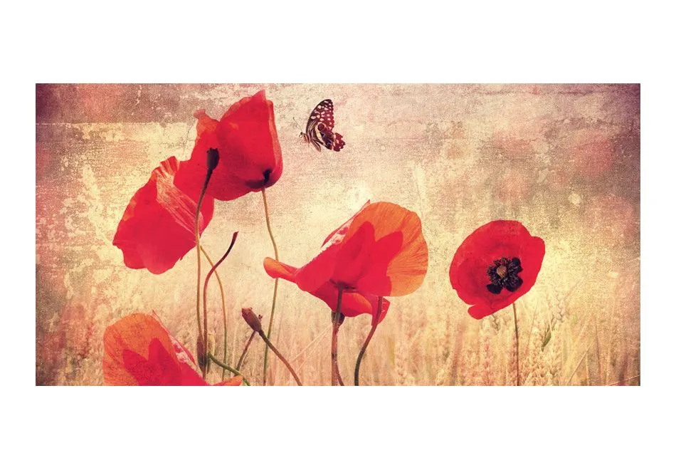 Fototapeta XXL - Summer is coming-2