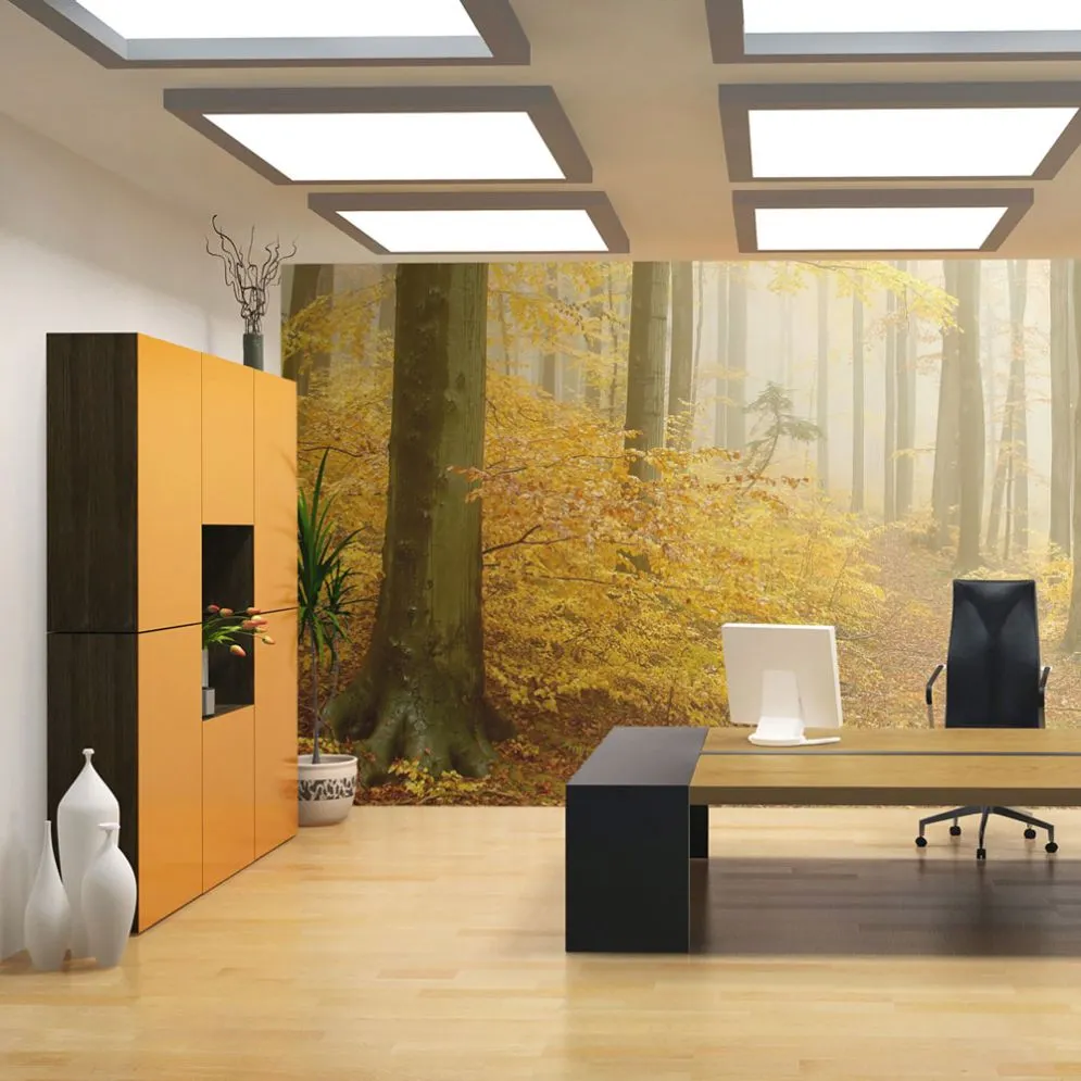 Fototapeta - las - jesień-1