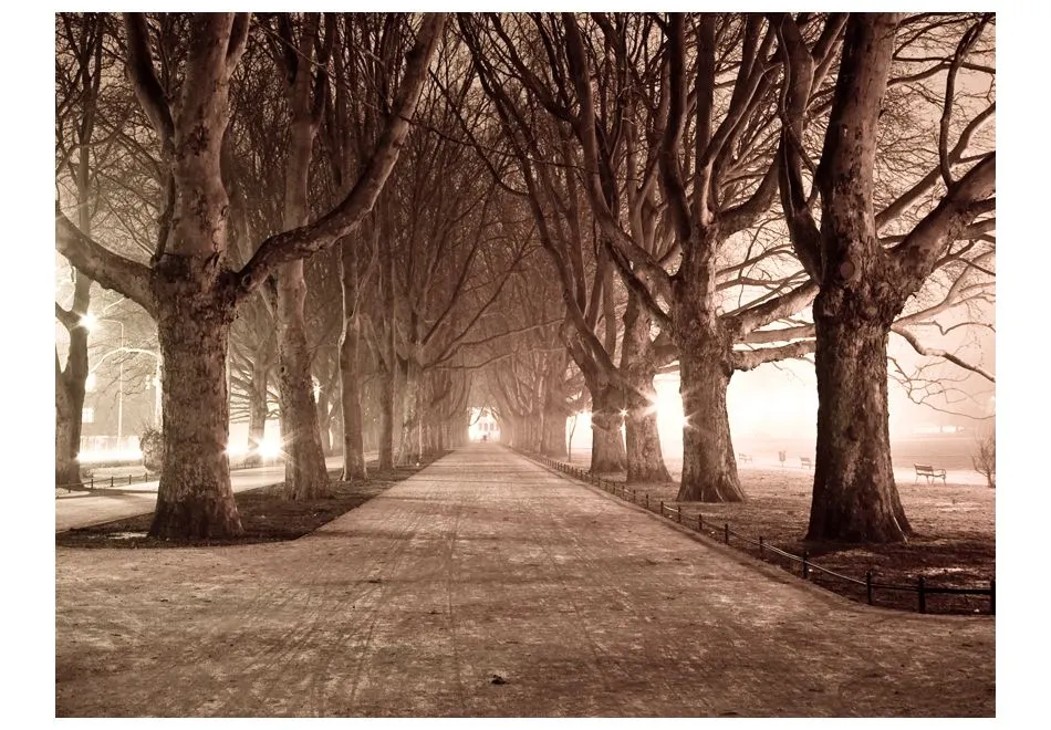 Fototapeta - Aleja parkowa-2