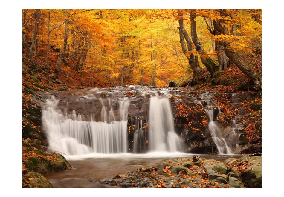 Fototapeta - Autumn landscape   waterfall in forest-2