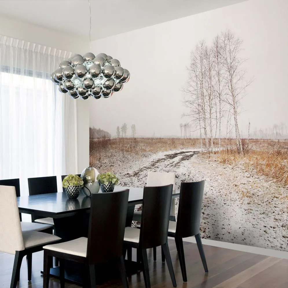 Fototapeta - Winter field-1