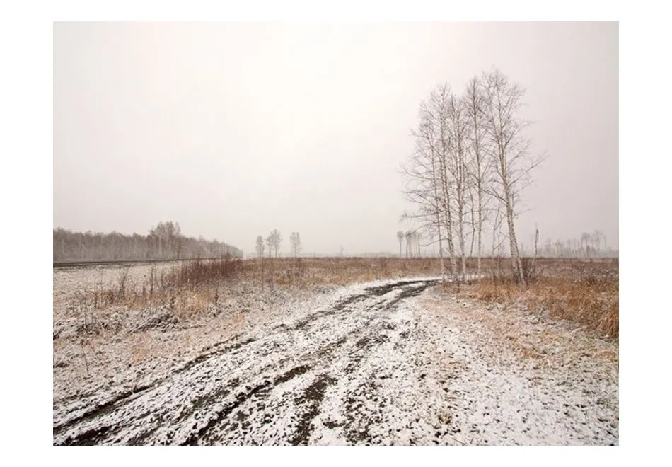 Fototapeta - Winter field-2