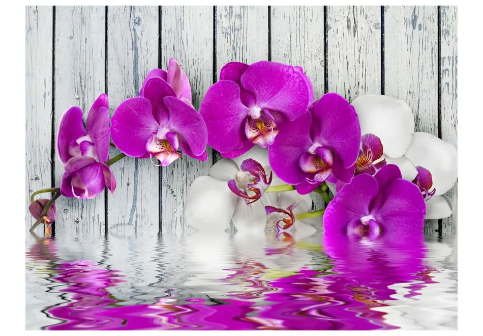 Fototapeta - Violet orchids with water reflexion-2