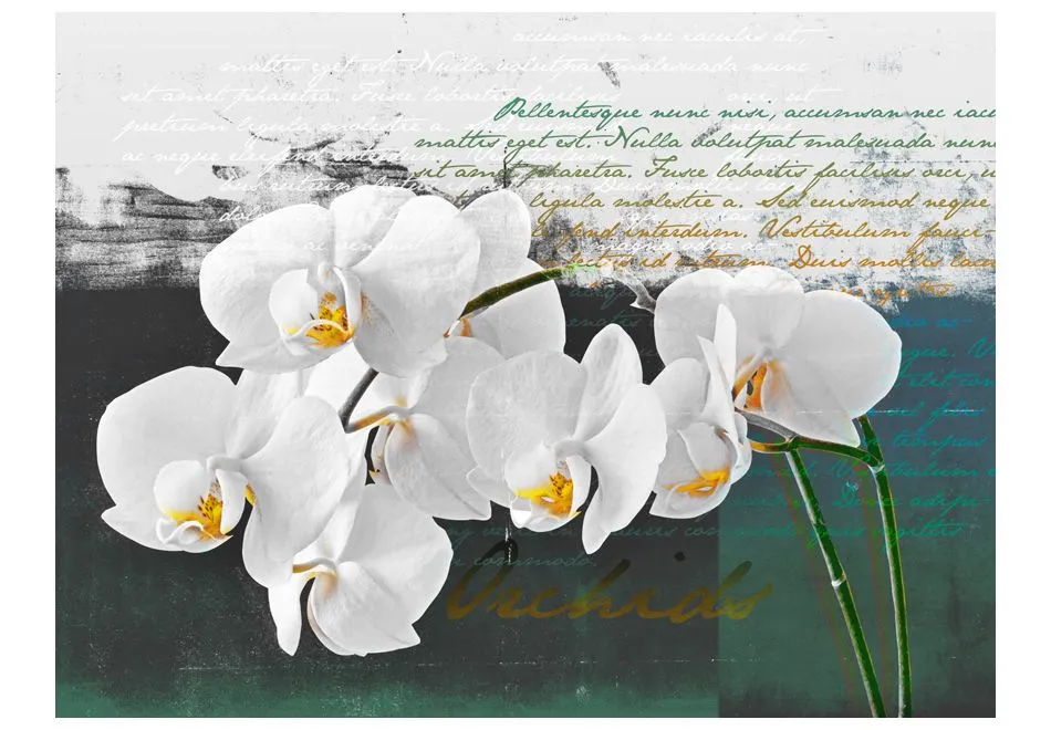 Fototapeta - Orchidea - inspiracja poety-2