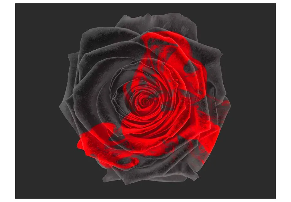 Fototapeta - Przemiana-2