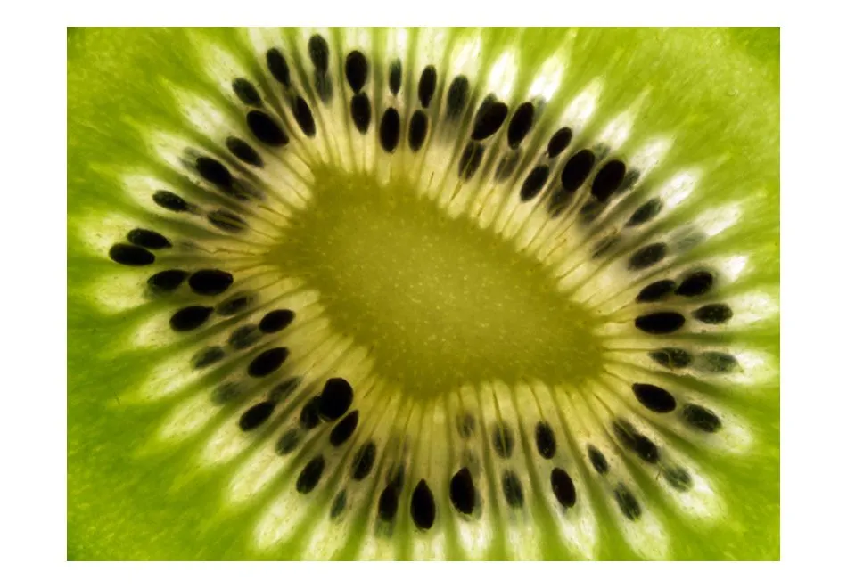 Fototapeta - owoce  kiwi-2