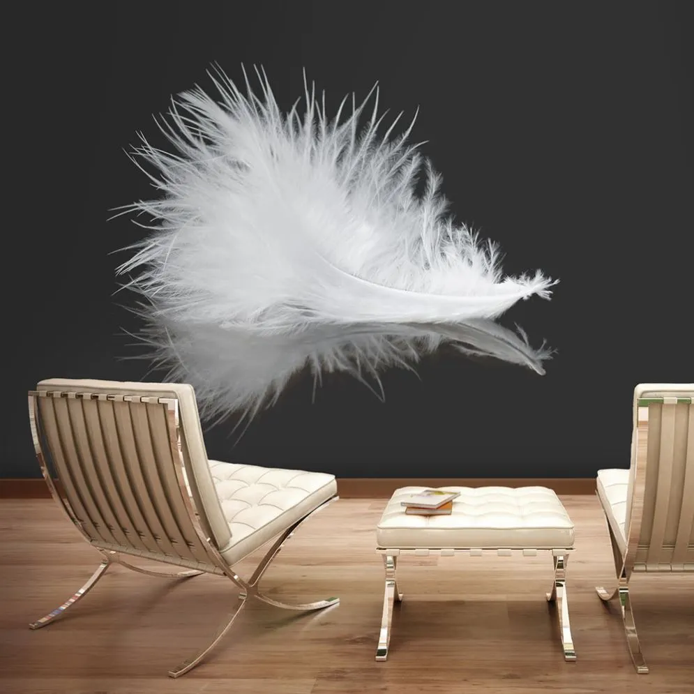 Fototapeta - White feather-1