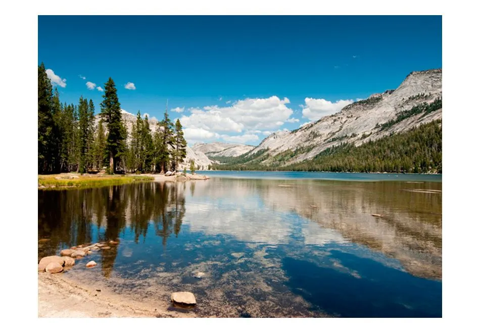Fototapeta - Tenaya Lake - Yosemite National Park-2