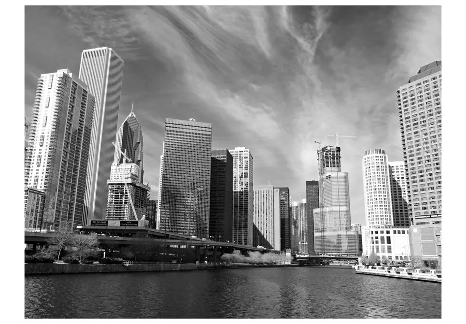 Fototapeta - Panorama Chicago (black and white)-2