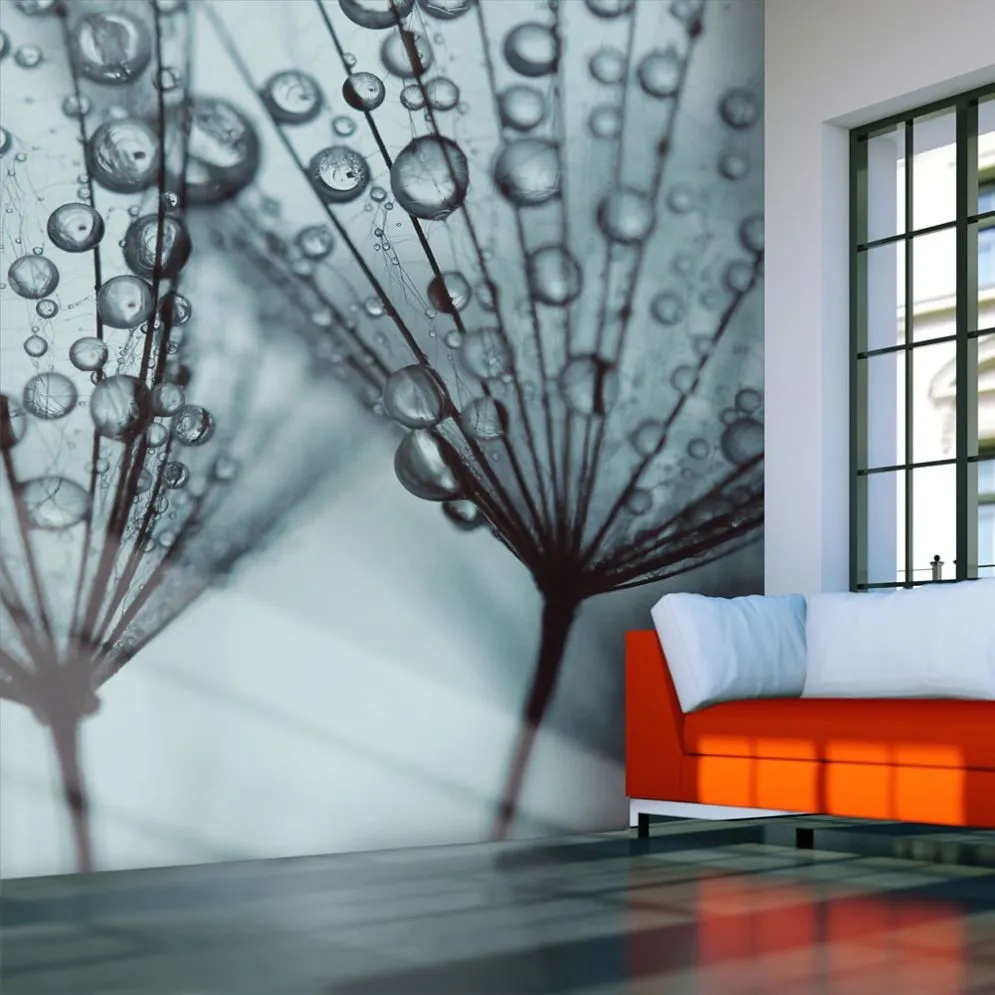 Fototapeta - Dmuchawiec w turkusie-1