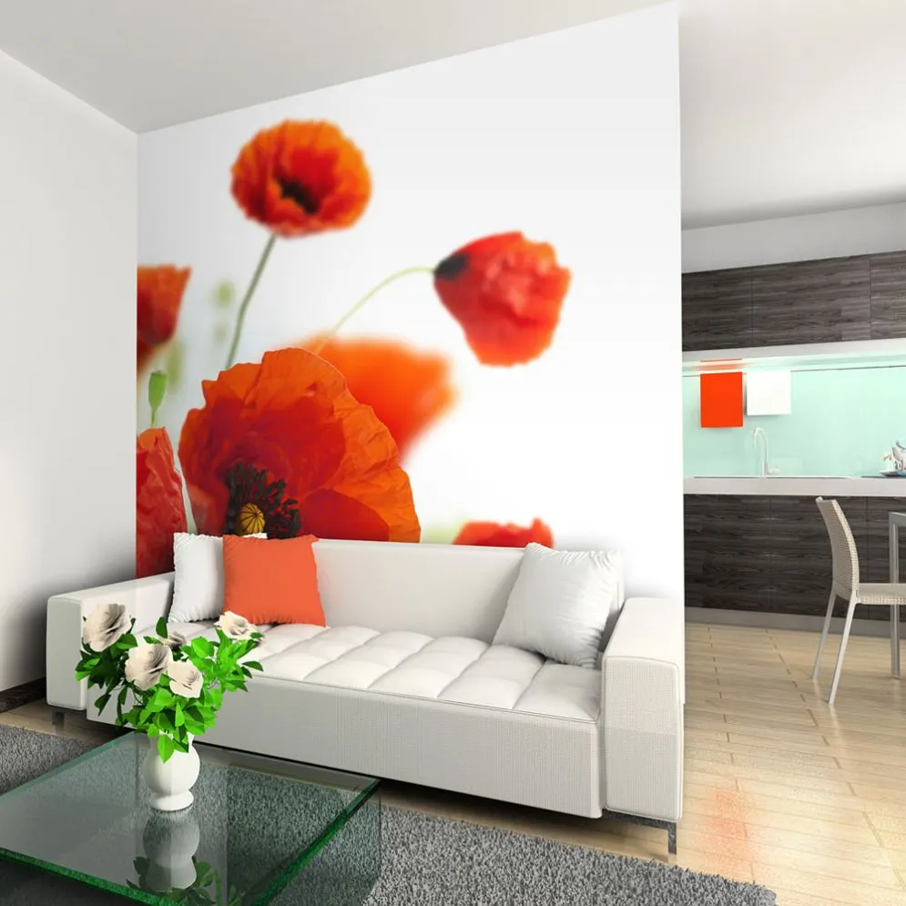 Fototapeta - Poppies on the wihite background-1