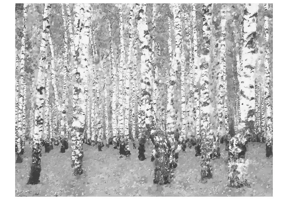 Fototapeta - Brzozowe zacisze-2