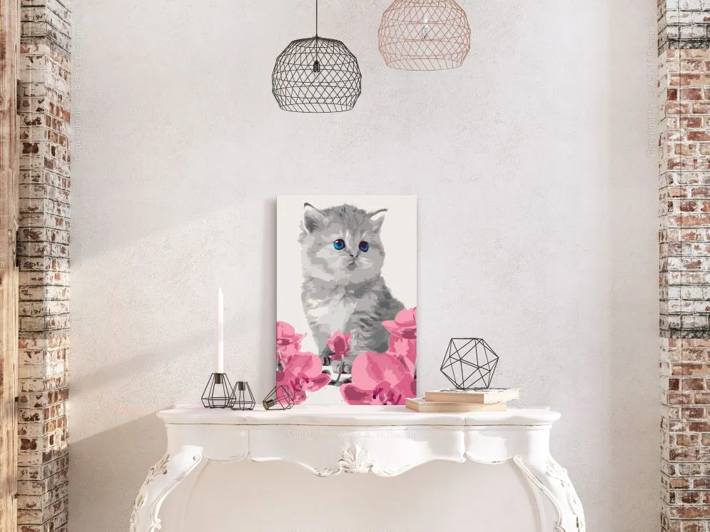 Obraz do samodzielnego malowania - Kociątko | MIRAT. w stylu  kolekcja