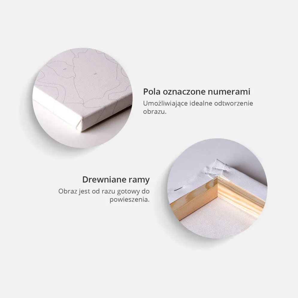 Obraz do samodzielnego malowania - Morskie znaleziska | MIRAT.