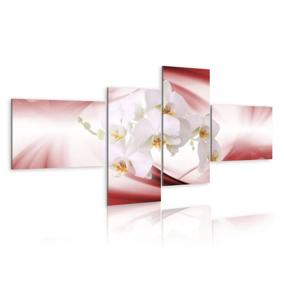 Obraz - Orchidea w różu-1