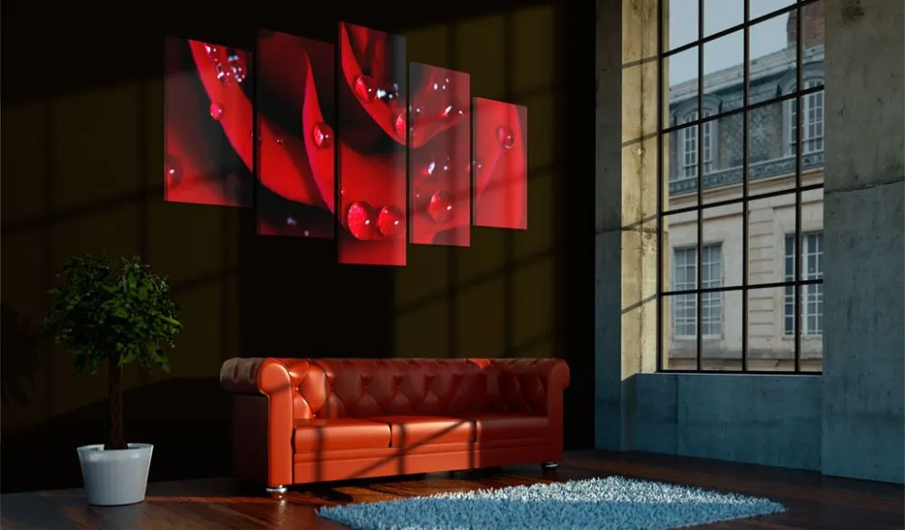 Obraz - Róża z kroplami rosy-2