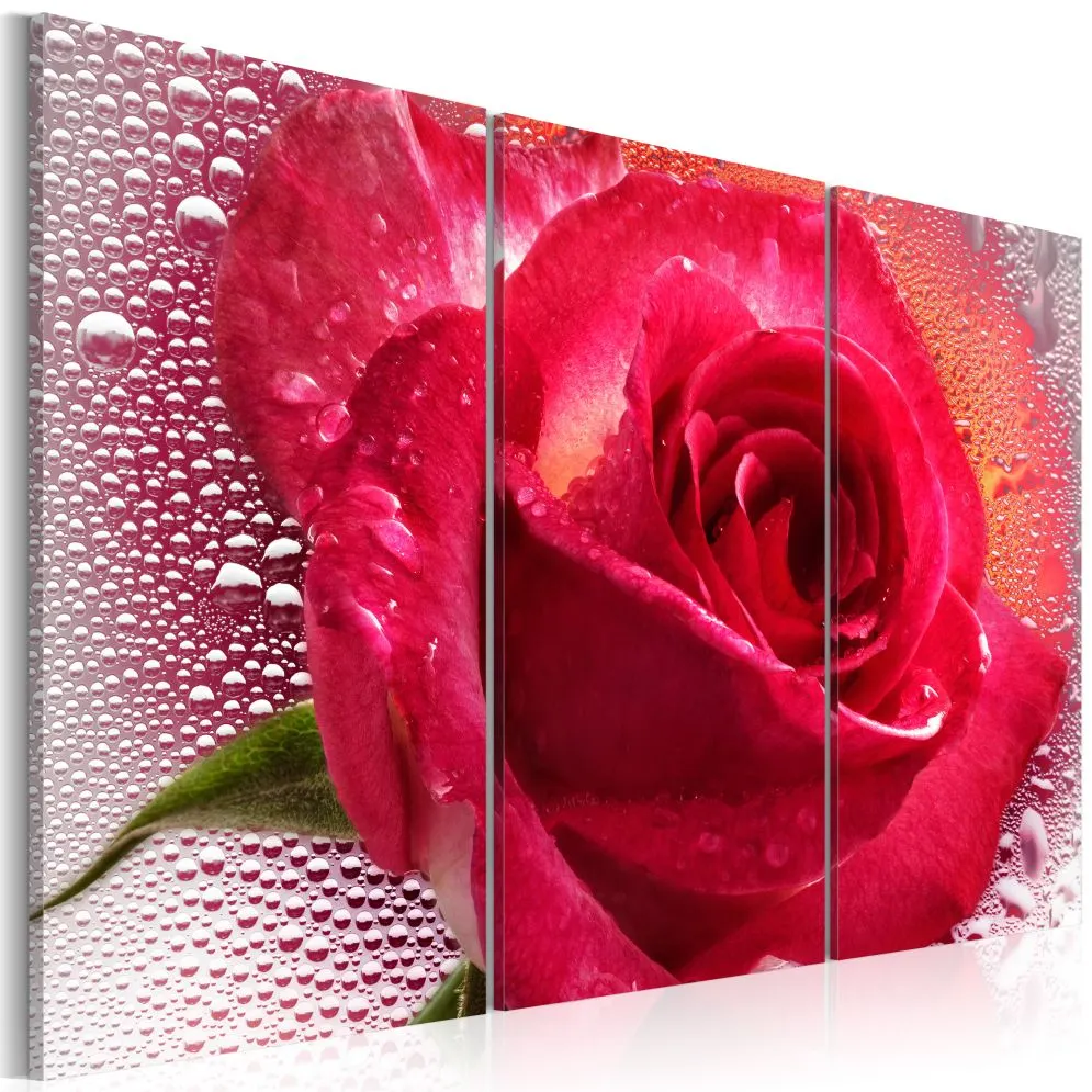 Obraz - Lady Rose - triptych-1
