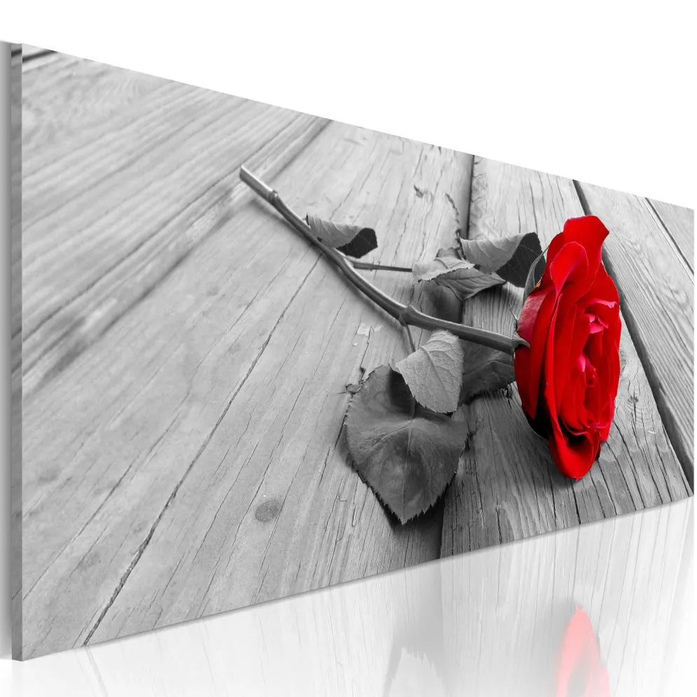 Obraz - Karminowa róża-1