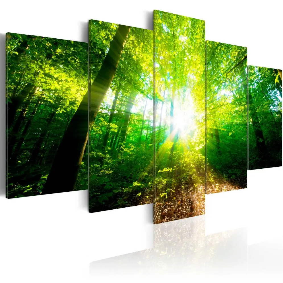 Obraz - Cudowny poranek-1