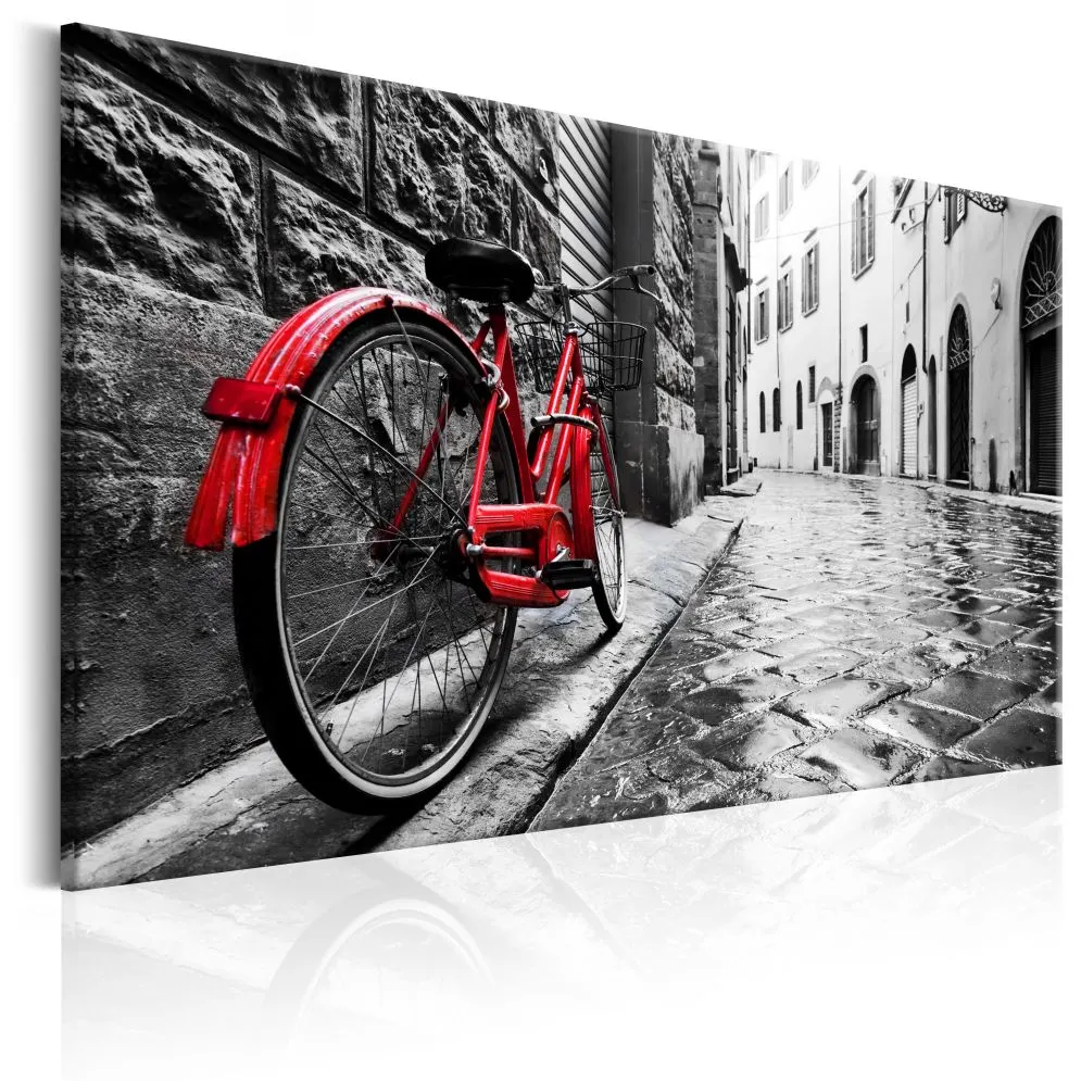 Obraz - Vintage Red Bike-1