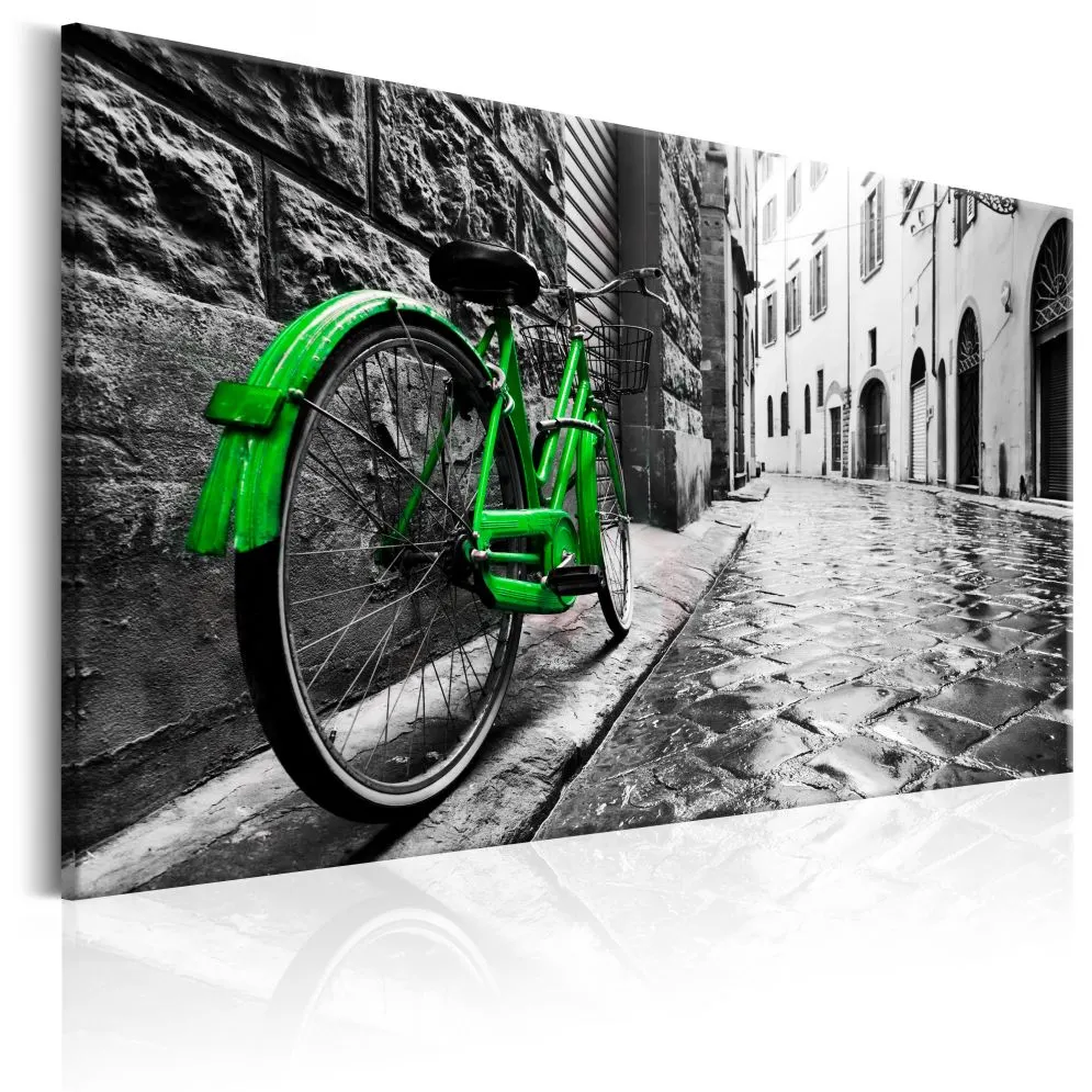 Obraz - Vintage Green Bike-1