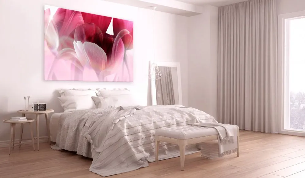 Obraz - Natura Różowe tulipany-2