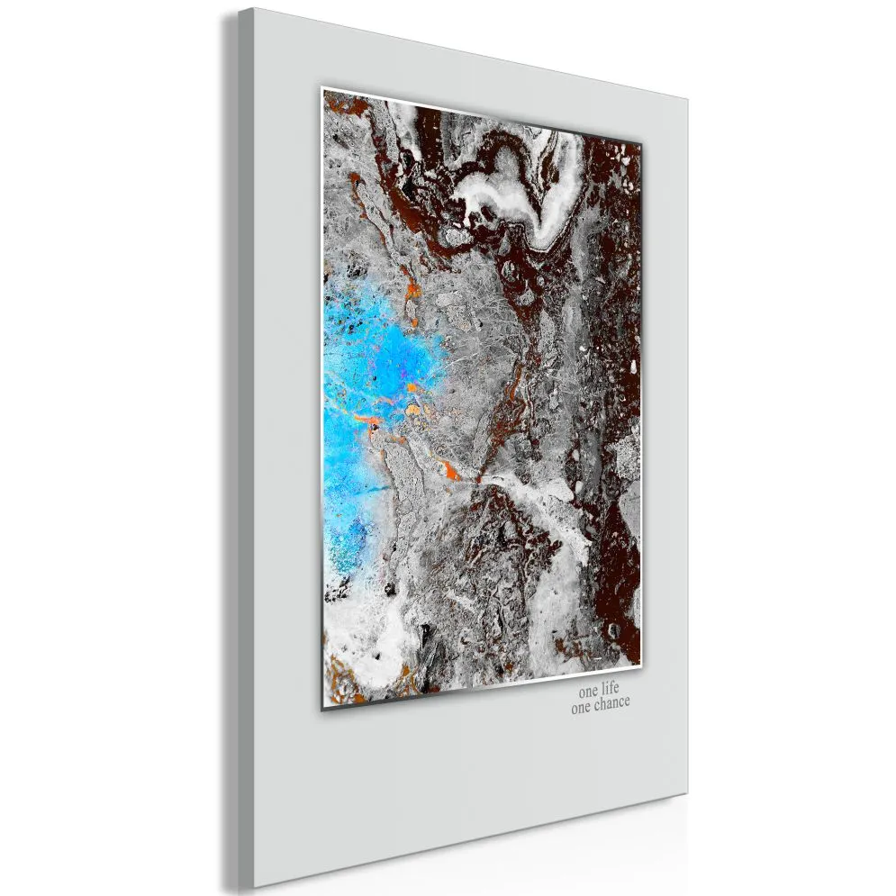 Obraz - One Life - One Chance (1-częściowy) pionowy-1