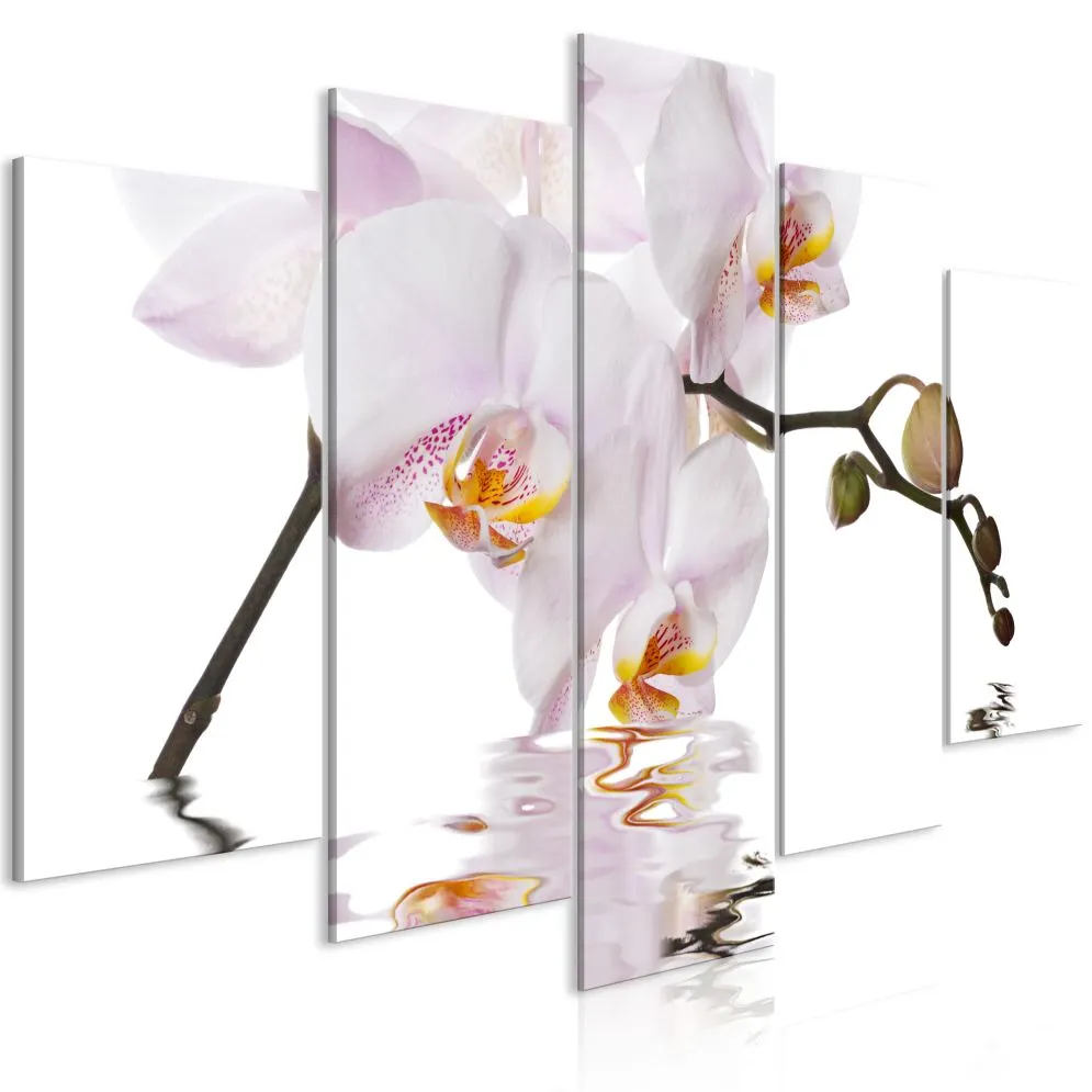Obraz - Zachwycająca orchidea (5-częściowy) szeroki-1