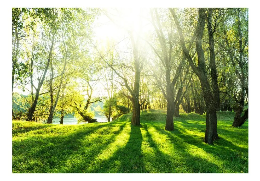 Fototapeta - Słoneczna majówka-2