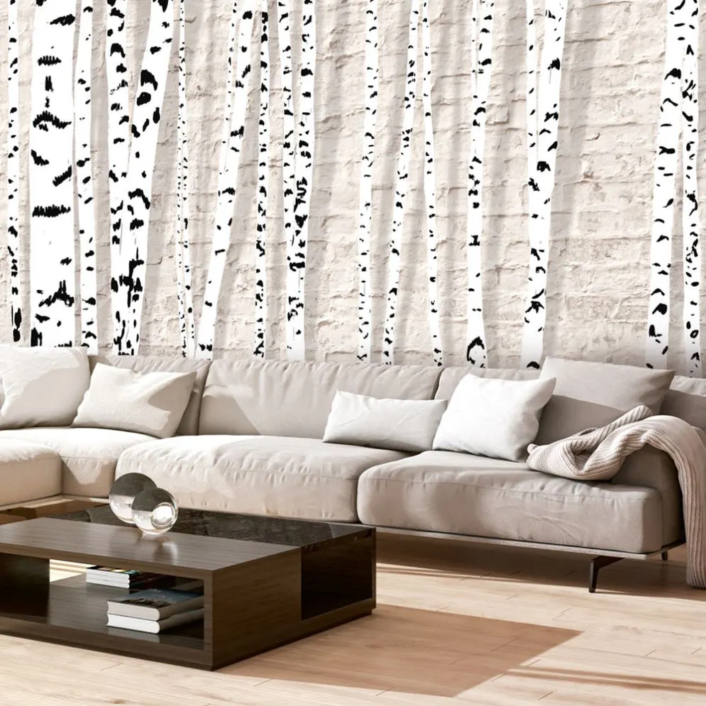 Fototapeta - Brzozowy gaj-1