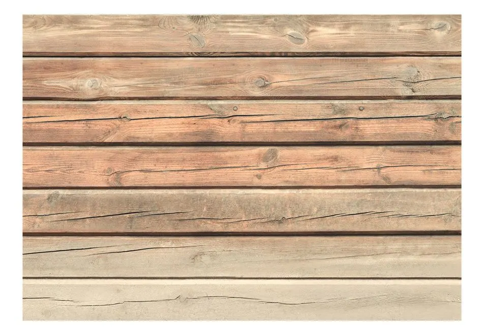 Fototapeta - Stara sosna-2