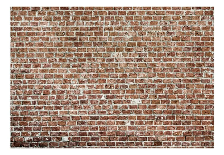 Fototapeta - Stara władza-2