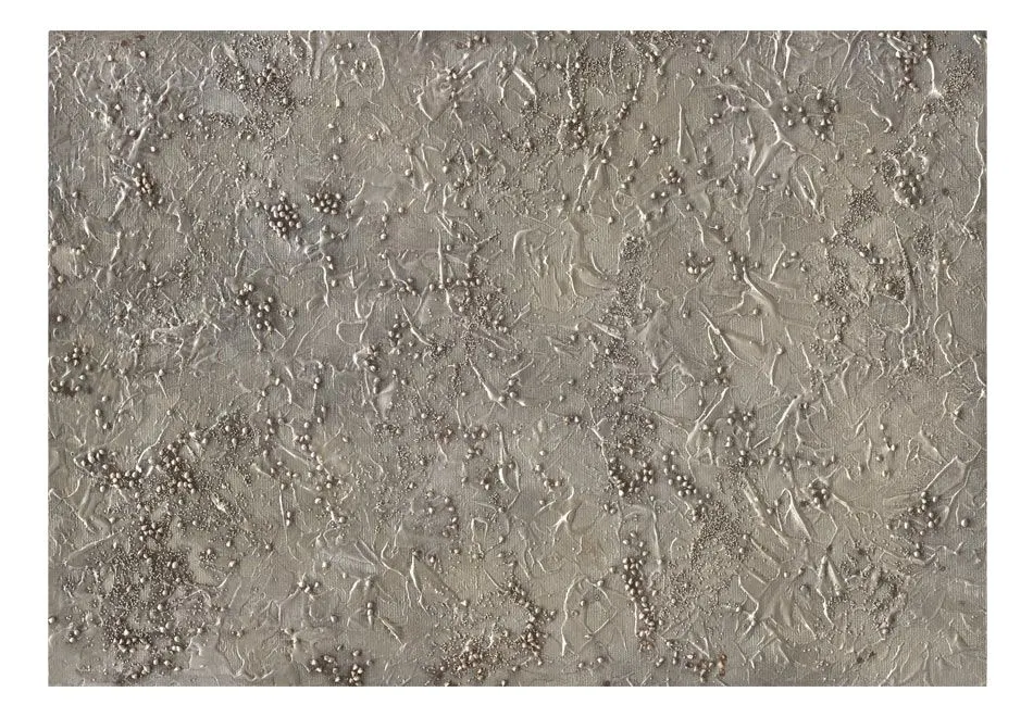 Fototapeta - Srebrna serenada-2