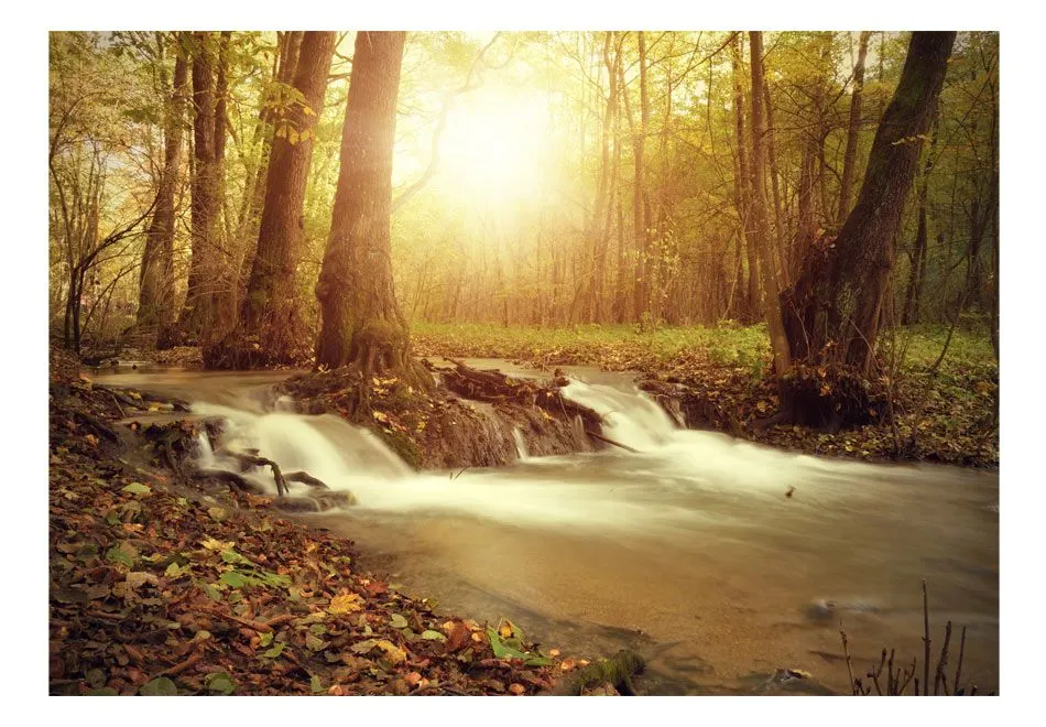 Fototapeta - Słoneczny nurt-2