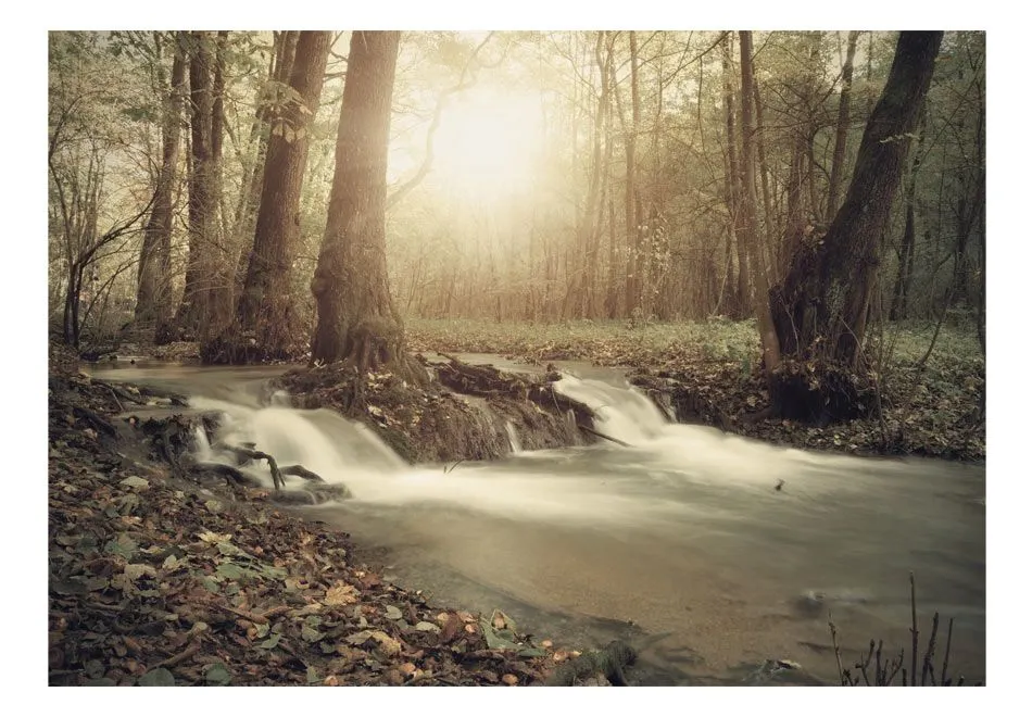 Fototapeta - Leśna kaskada-2