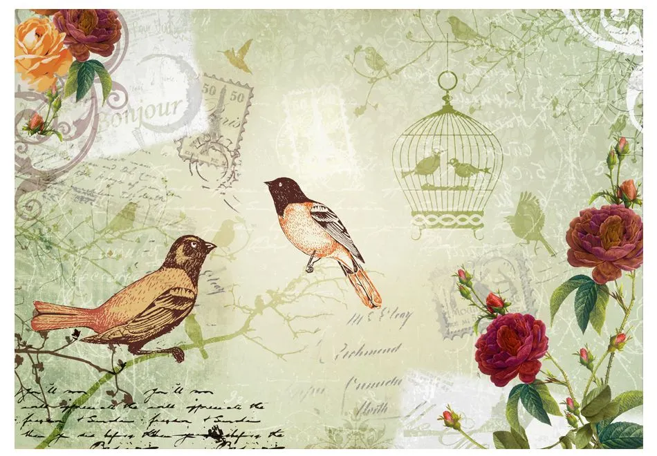Fototapeta - Vintage birds-2